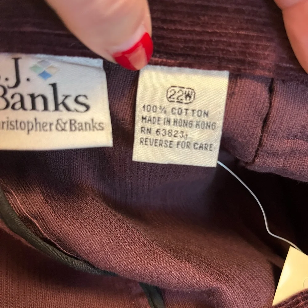 NWT CJ Banks corduroy skirt with embroidered detail 100% cotton